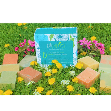 Box of 10 soaps All natural fragrances